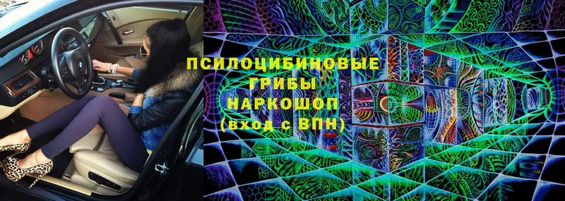 Галлюциногенные грибы Psilocybe  купить наркотик  darknet формула  Белинский 